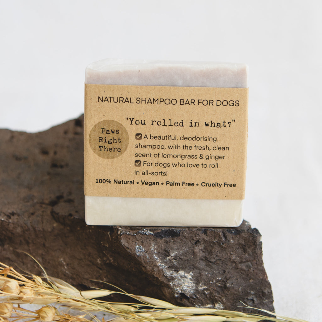 Lemongrass and ginger dog shampoo bar standing on a dark rock with dried grasses