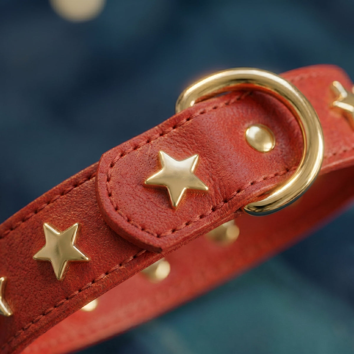 Close-up of a red leather dog collar with gold star studs and brass D-ring